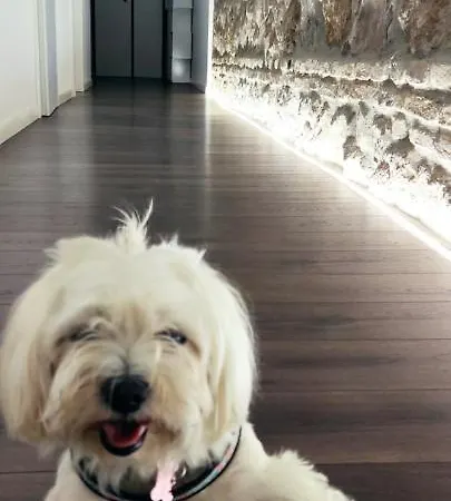 Ema Flat In Trastevere